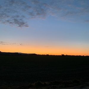 Meet your Posher, Violeta